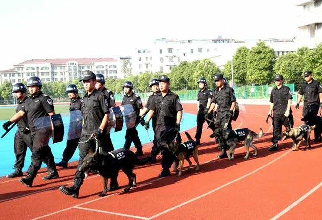 公司简介