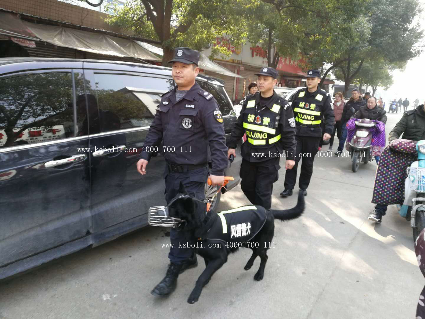风雷特犬 安全巡逻 稳定治安